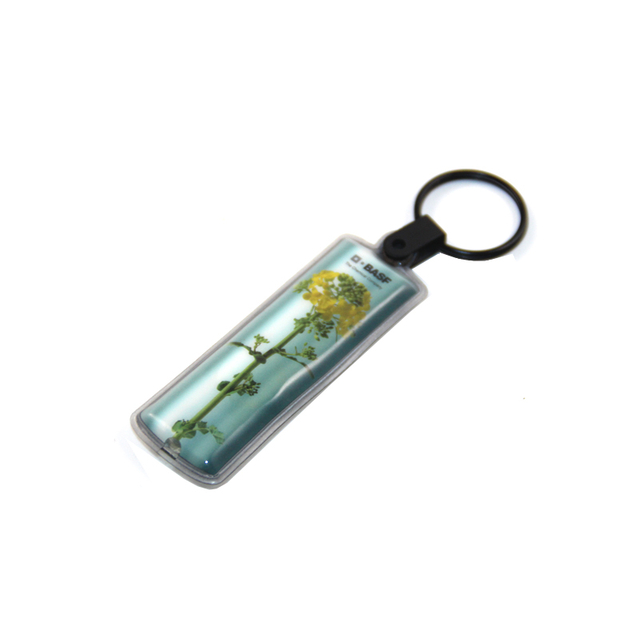 Portachiavi in ​​PVC vinilico giocoso e identificativo durevole